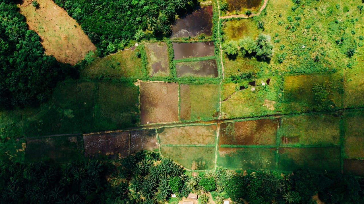 Stunning aerial view showcasing lush farmland with vibrant patchwork fields reflecting natural beauty.