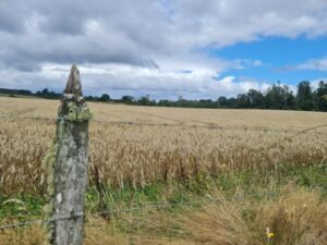 IMG-20231207-WA0012