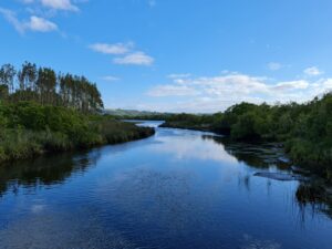 IMG-20231207-WA0014