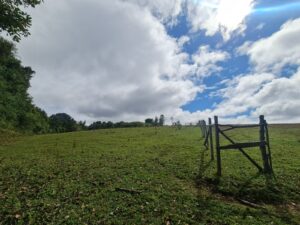 IMG-20231207-WA0016