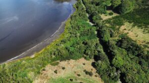 dji_fly_20250321_125430_405_1742755208373_photo_optimized-scaled
